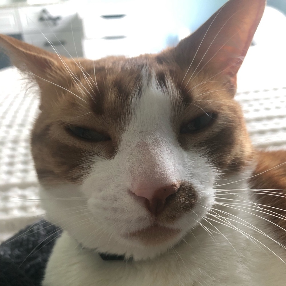 Meet your Posher, Cady